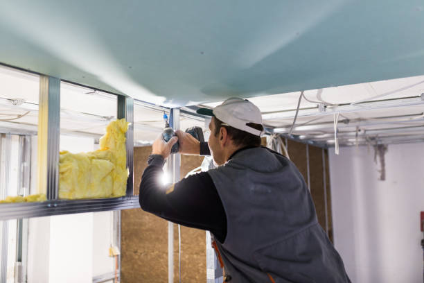 Best Cellulose Insulation in St James, NY